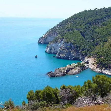 Solaria Rodi Garganico