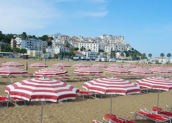 Solaria رودي غارغانيكو