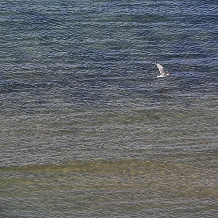 Solaria Rodi Garganico