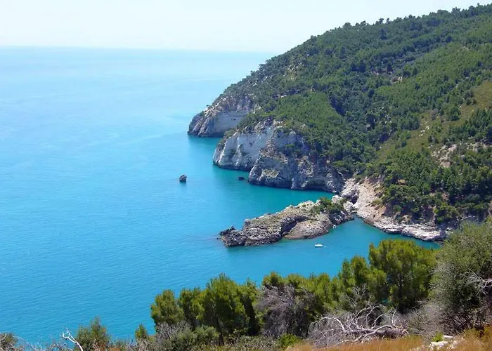 Solaria Rodi Garganico