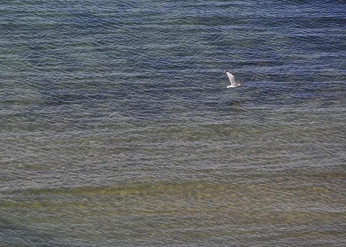 Solaria Rodi Garganico