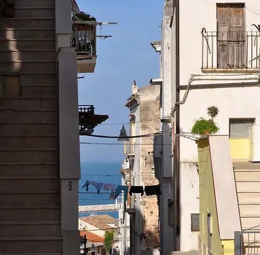 Solaria رودي غارغانيكو